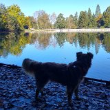 15.10.2017 Fornsbach Waldsee